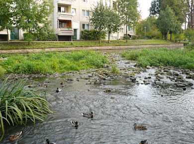 Erfurt Venedig1