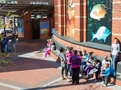 Two Oceans Aquarium entrance