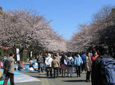Tokio, Ueno-Park