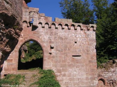 Dambach, Burg Schöneck