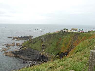 Lizard Point