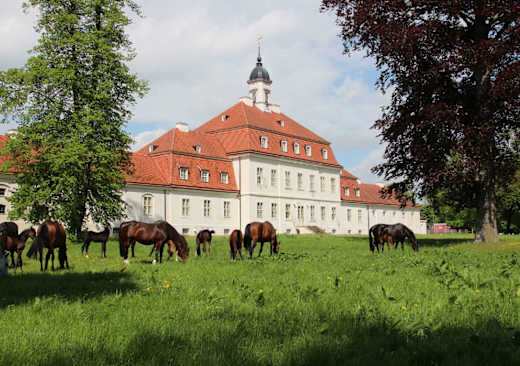 Das Landstallmeisterhaus auf dem Hauptgestüt in Neustadt (Dosse), Foto: Jörg Menge, Lizenz: Stitrung Brandengurgisches Hautpt- u. Landgestüt