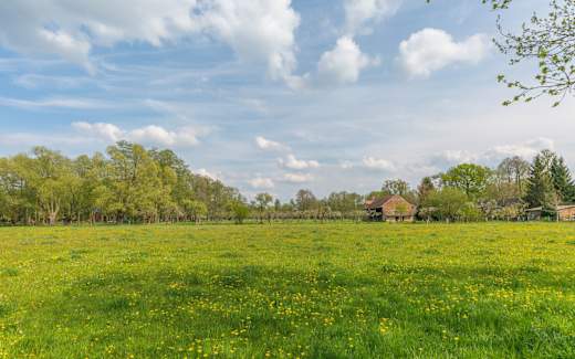 Landschaft bei Burg im Spreewald, Foto: Steffen Lehmann, Lizenz: TMB-Fotoarchiv