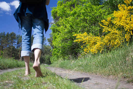 Auf dem Barfußwanderweg, Foto: Bansen/Wittig