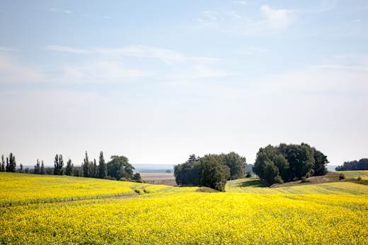 Hoher Fläming, Foto:  J. Marzecki