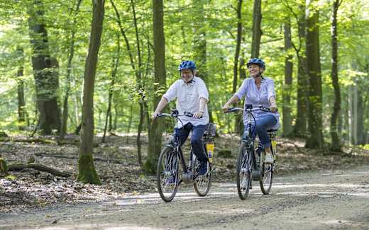Spreeradweg, Foto: TMB-Fotoarchiv Andreas Franke , Lizenz: Amt Burg (Spreewald)