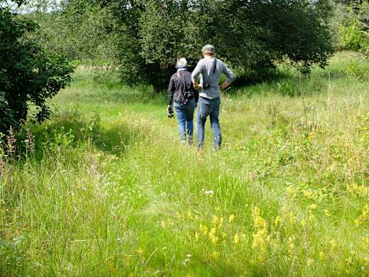 Alte Siedlungsstelle an der Dosse - Radabenteuer, Foto: Michael Ilg