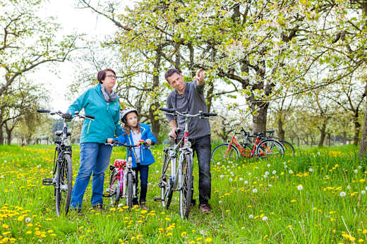 Streuobstwiesen, Foto: LKEE_Andreas Franke, Lizenz: LKEE_Andreas Franke