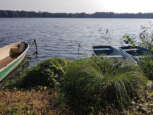 5-Seen-Wanderung (Zeesener See), Foto: Petra Förster, Lizenz: Tourismusverband Dahme-Seenland e.V.