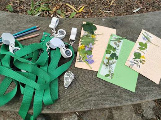 Perspektive wechseln, Foto: Ulrike Dittmann