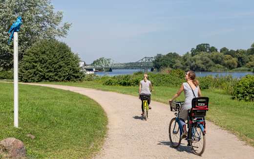 Radfahren im Park Babelsberg entlang der Havel  , Foto: Andre Stiebitz, Lizenz:  PMSG/SPSG