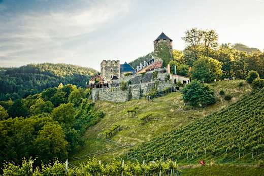 Bad Radkersburg, Steirische Schlösserstraße