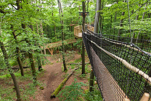 Schotten, Baumkronenpfad Hoherodskopf