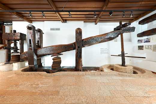 Cisano, Museo dell'Olio d'Oliva