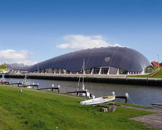 Friedrichskoog, Wal Willi