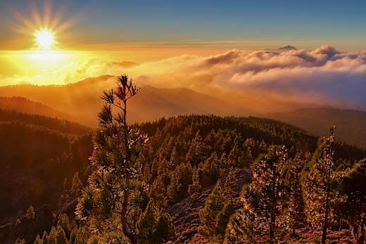 Ayacata, Pico de las Nieves