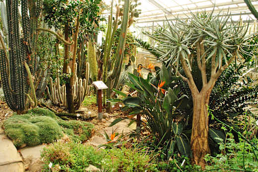 Dresden, Botanischer Garten