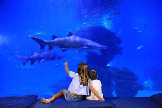 Palma de Mallorca, Palma Aquarium
