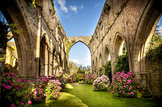 Paimpol, Abbaye de Beauport