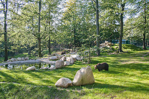 Thale, Tierpark Thale