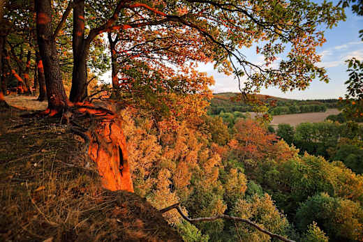 Witten, Muttental