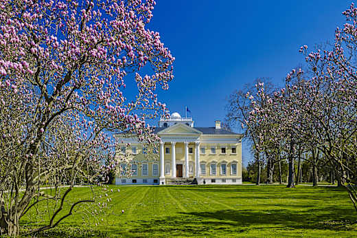 Wörlitz, Schloss Wörlitz
