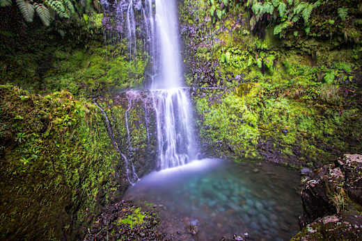 Levada do Caldeirão Verde