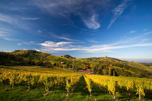 Leutschach, Südsteirische Weinstraße