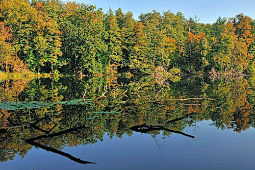 Naturpark Märkische Schweiz