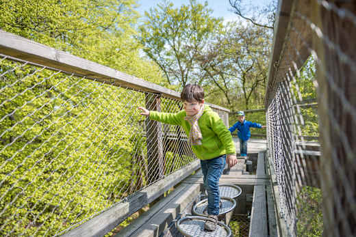 Ostseebad Binz, Naturerbe Zentrum Rügen