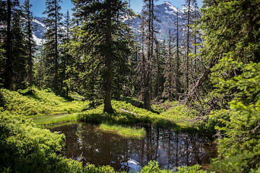 Rauris, Kolm-Saigurn