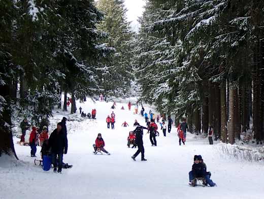 Braunlage, Wurmberg-Rodelbahn