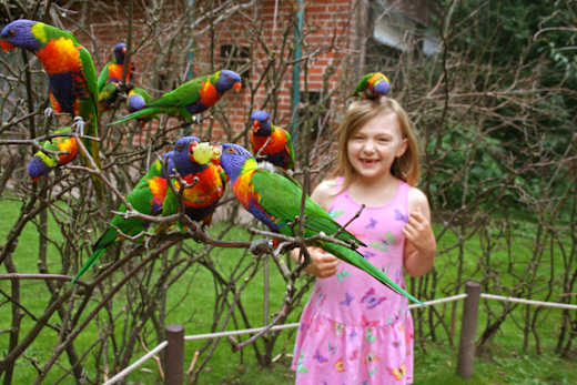 Schwerin, Zoo Schwerin