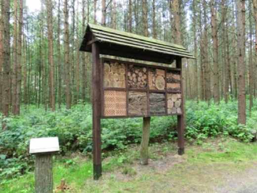 WdS Insektenhotel