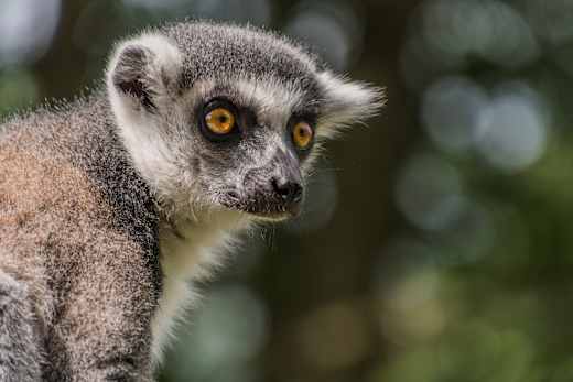 Wismar, Tierpark Wismar