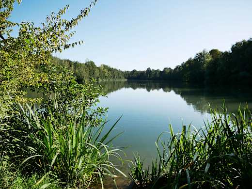 Heidhofsee, Bottrop