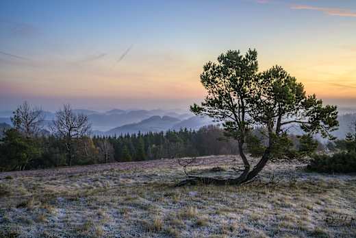 osterkopf-vor-sonnenaufgang_c__klaus-peter-kappest-sauerland-wanderdoerfer.jpg