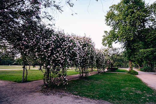 fredenbaumpark-dortmund.jpg