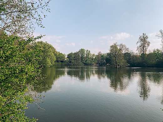 Revierpark-wischlingen-see.jpg