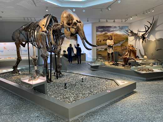 mw_2021_naturmuseum.JPG