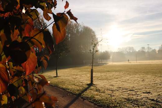 Herbstliche Stimmung im Sportpark am Ölbach in Schloß Holte-Stukenbrock