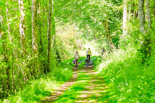 Wander- Radweg Wacholderschutzgebiet