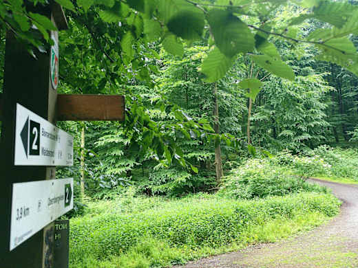 Wanderweg 2