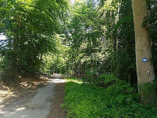 Hansaweg Etappe 1