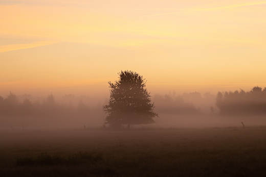 Naturschutzgebiet Recker Moor
