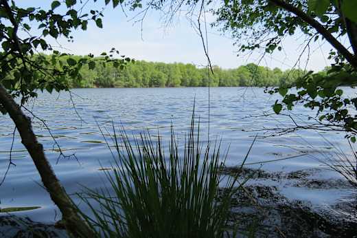 Idyllische Kieskuhle Roggenmoor