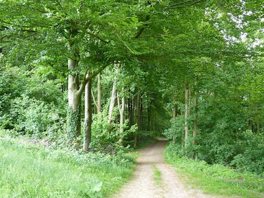Schweichelner Berg