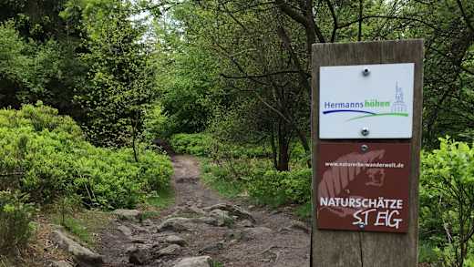 Naturerbe Wanderwelt Altenbeken | Naturschätze-Steig