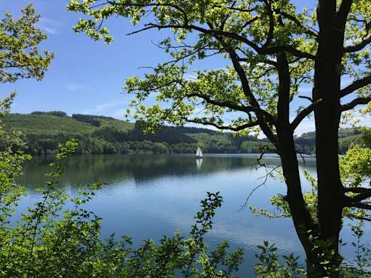 Hennesee