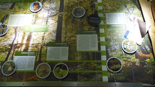 Naturparkzentrum Visonarium Diemelsee
